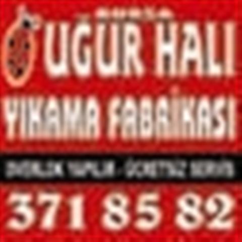 Ugur Halı Yıkama Fab.