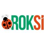 Https://www.roksi.com.tr/