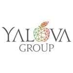 Yalova Group